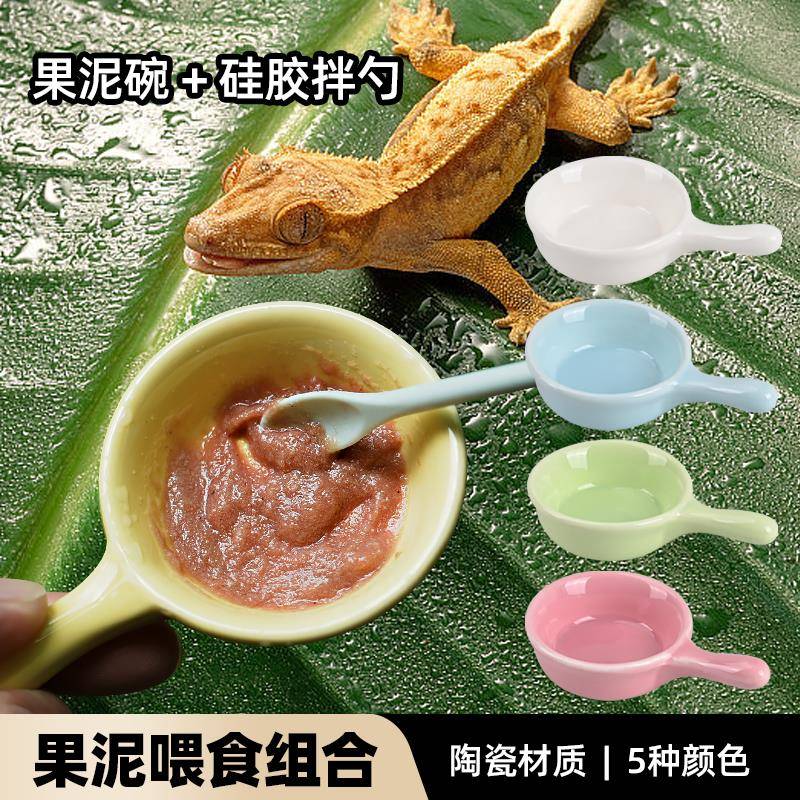 守宫食盆爬虫果泥搅拌碗睫角R属巨人盖勾亚盘古果泥喂勺组合套装