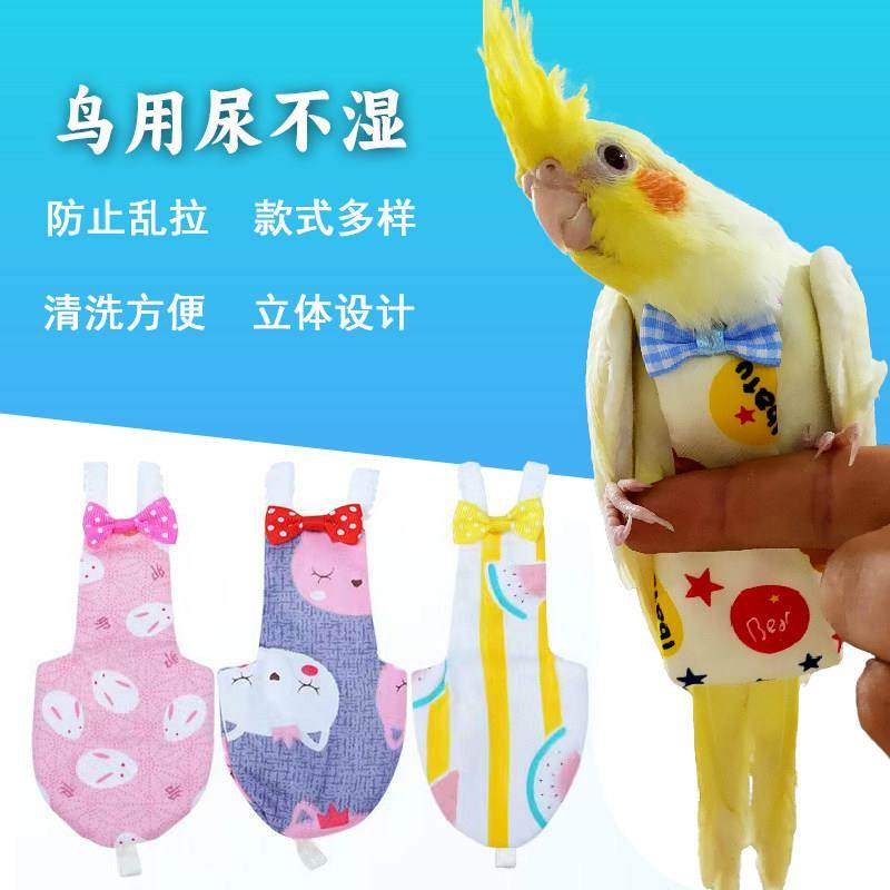 鹦鹉屎兜尿不湿立体款固定肩带可调节大容量尿裤衣服玄凤牡丹虎皮,宠物/宠物食品及用品,猫宠物服装/雨衣（新）,淘宝优惠券,粉丝福利购,淘宝优惠卷
