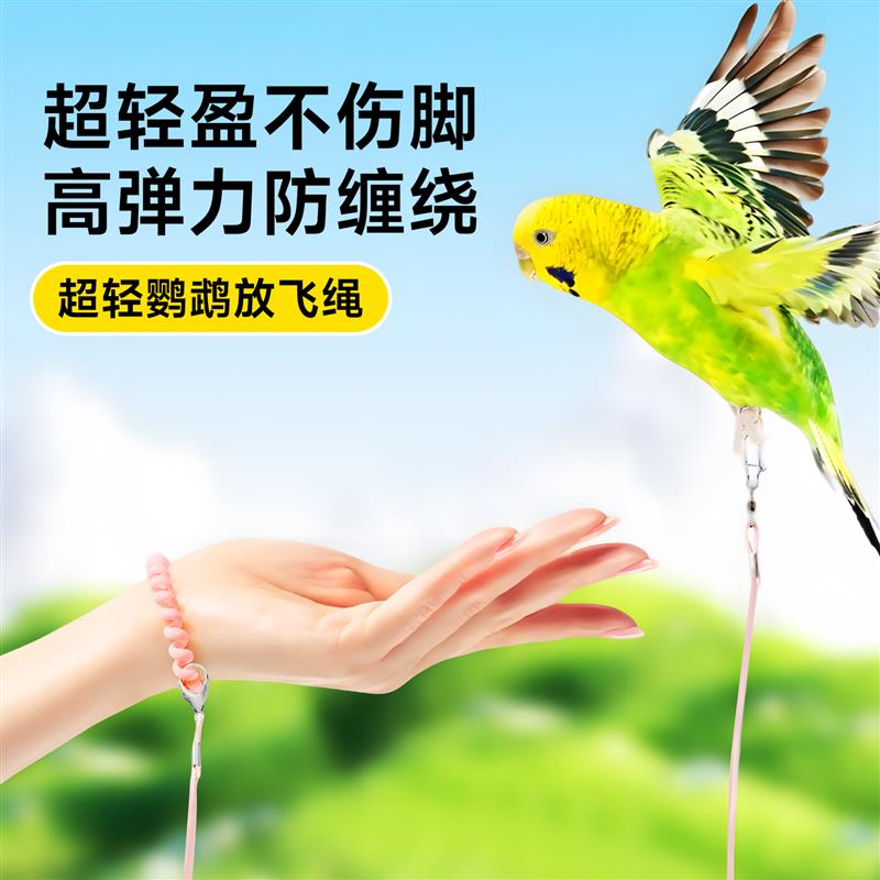 鹦鹉放飞绳外出牵引绳虎皮