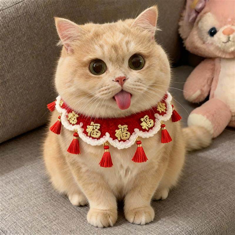 宠物新年围脖猫咪衣服小配饰口水巾围巾过年围兜装扮编织喜庆2026,宠物/宠物食品及用品,猫宠物服装/雨衣（新）,淘宝优惠券,粉丝福利购,淘宝优惠卷