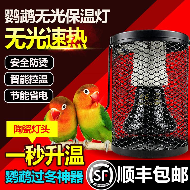 鹦鹉专用保温灯宠物陶瓷无光蜜袋鼯小鸡鸟用保暖灯防烫伤带灯罩加