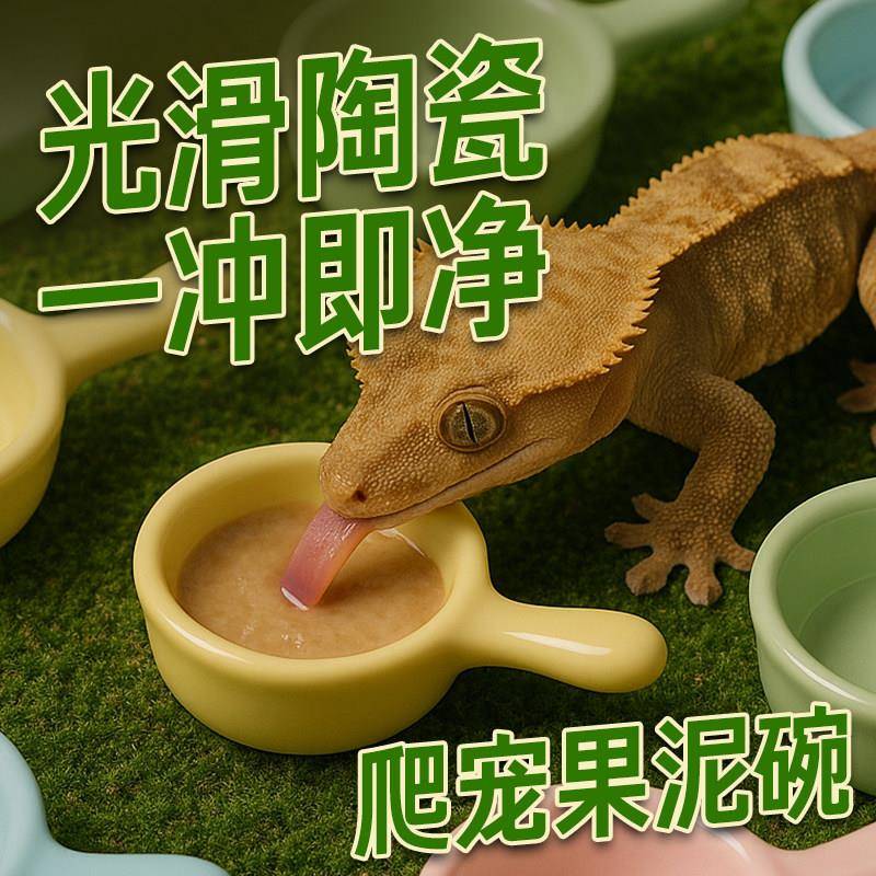 守宫食盆爬宠果泥爬虫睫角巨人盖勾亚R属盘古果泥搅拌碗喂食勺