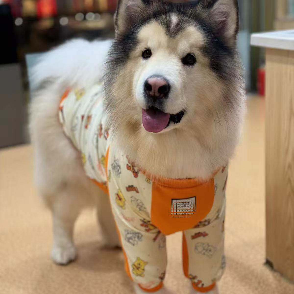 狗狗护肘关节套宠物护膝护腿狗保护套防寒保暖金毛柴犬中型犬衣