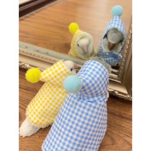 鹦鹉衣服服饰披风斗篷秋冬季小鸟虎皮牡丹玄凤加厚保暖防风外出服