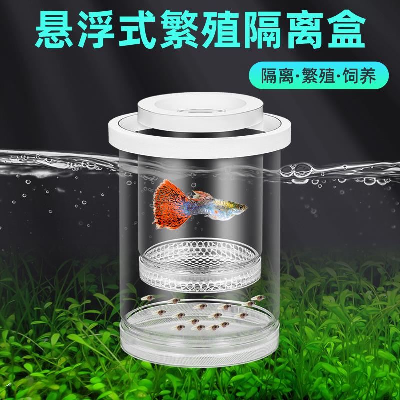 孔雀鱼隔离繁殖盒鱼缸隔离