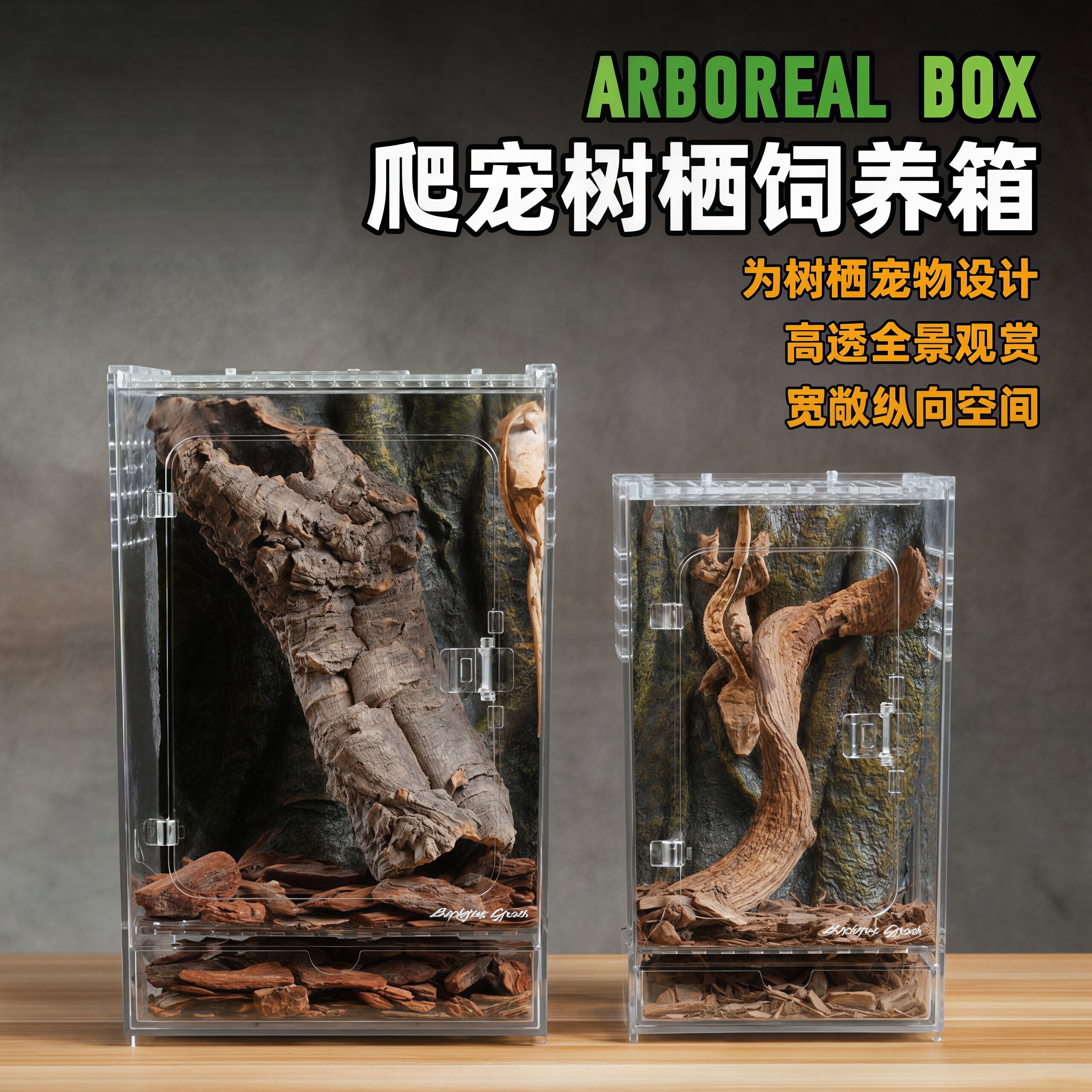 爬宠饲养盒宠物跳蛛蜘蛛甲虫饲养