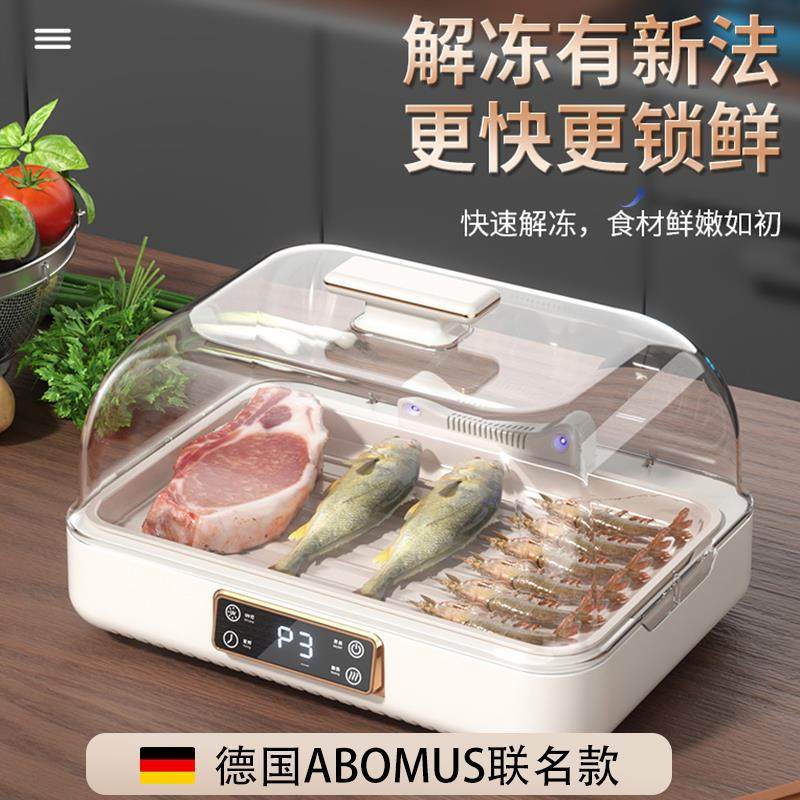 德国解冻器家用神器保鲜快速全自动导热板化大容量肉类牛排恒温冻