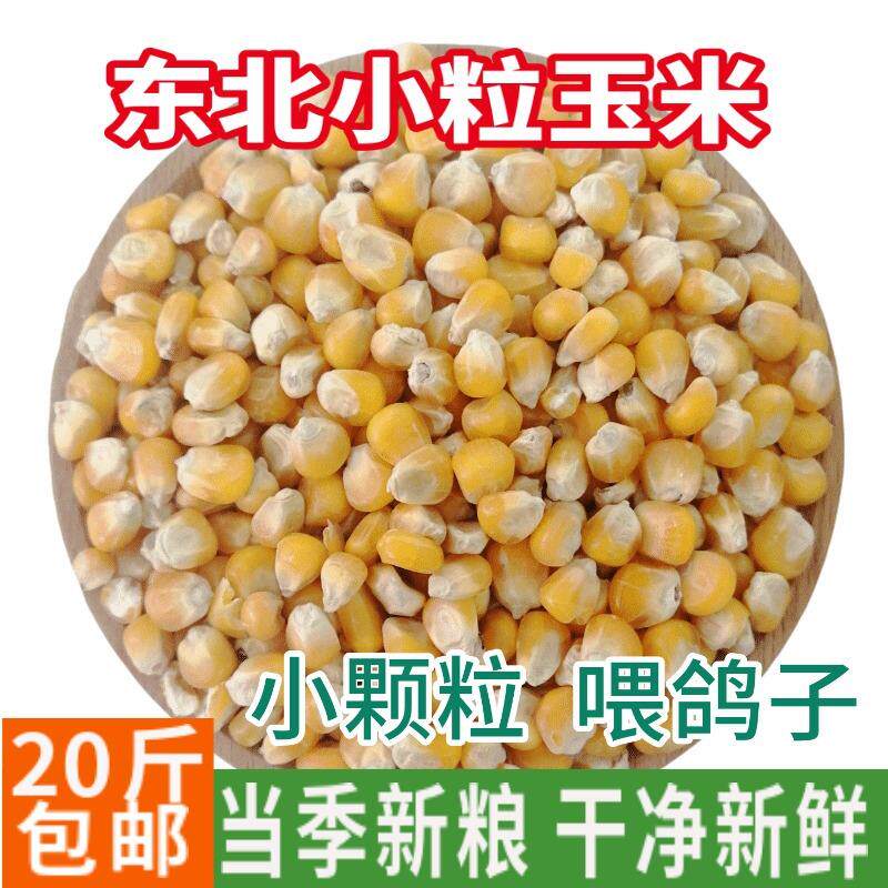 玉米粒鸽粮20斤干玉米籽鸡