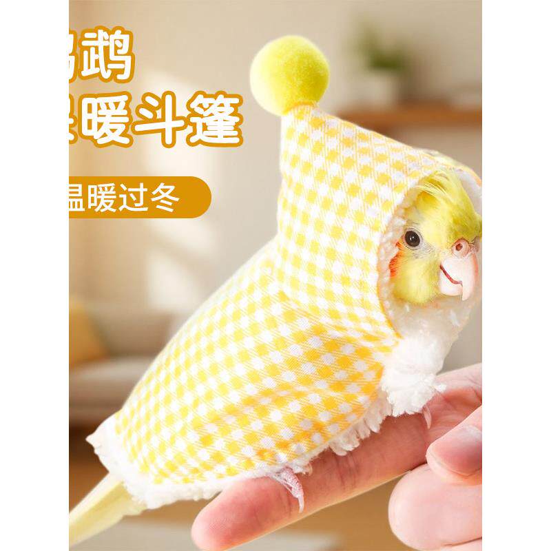 鹦鹉衣服新款小鸟玄凤牡丹虎皮小太阳和尚冬季过冬天披风斗篷