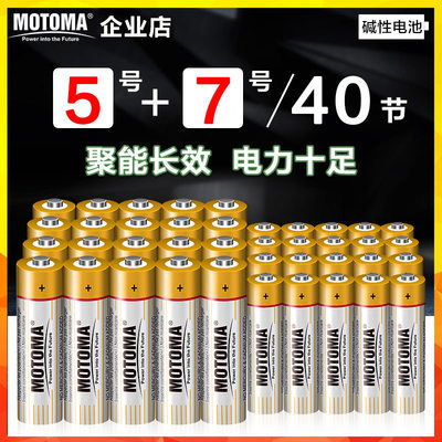 5号燃气表电池家用遥控器电池