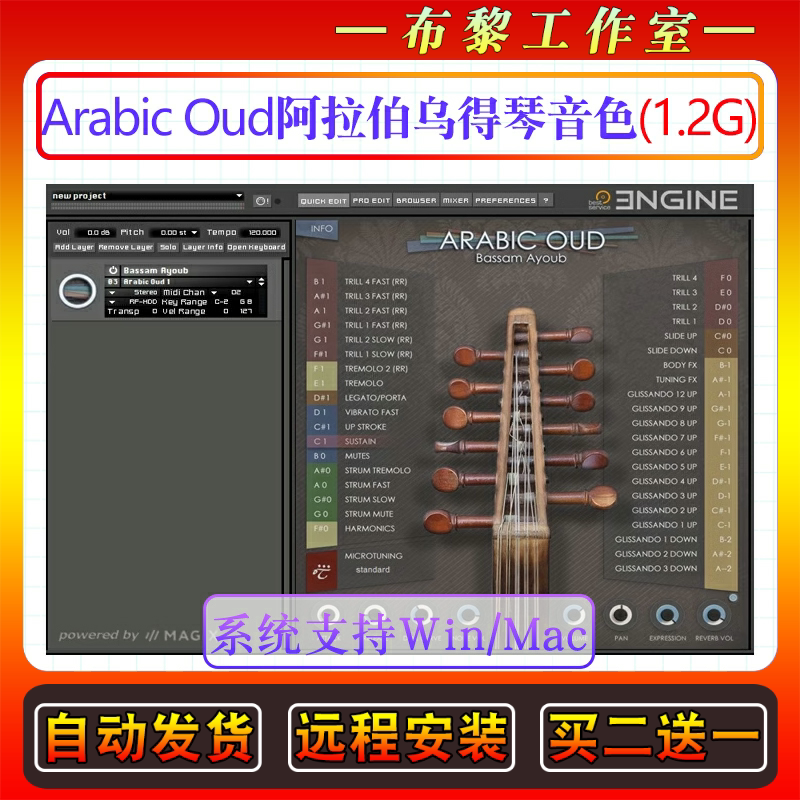 中东阿拉伯乌得琴音色Best Service Arabic Oud Engine 2民乐音源