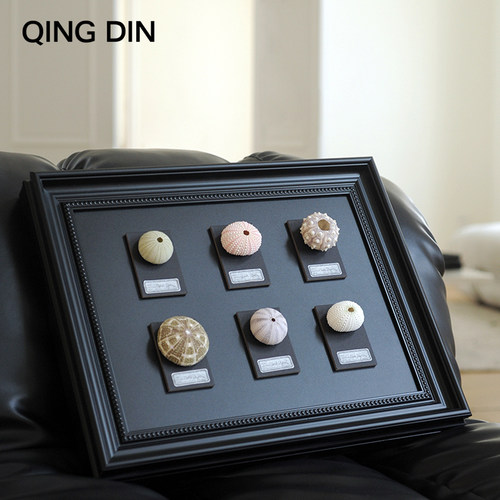 QINGDIN客厅玄关简约天然贝壳