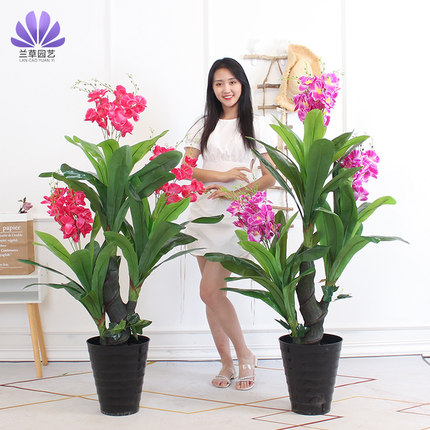假花蝴蝶兰仿真花盆栽摆设落地高客厅装饰绢花植物室内高档花卉大