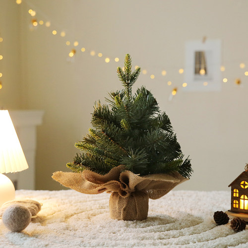 香桔圣诞树家用桌面橱窗摆件