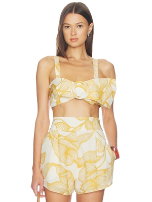 ADRIANA DEGREAS FOLIAGE 比基尼内衣 revolve小众新款