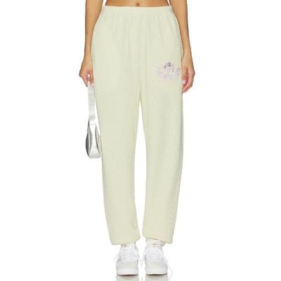 Boys Lie KIMMY 运动长裤 黄色 美式休闲风REVOLVE小众新款