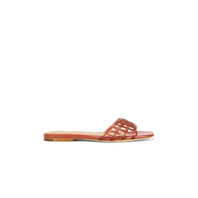 Veronica Beard Maris Jelly Sandal 橙色 女款REVOLVE小众新款