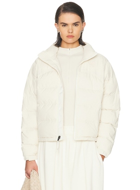 [海外直邮]The North Face 2000 RETRO SHRUNKEN NUPTSE 夹克 象