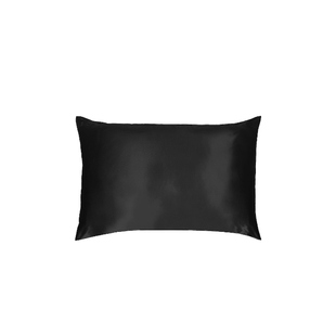 slip Queen/Standard Pure Silk PillowcaseREVOLVE时尚小众新款