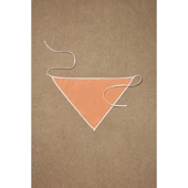 橙色REVOLVE小众新款 Rowen FWRD Headscarf Rose for