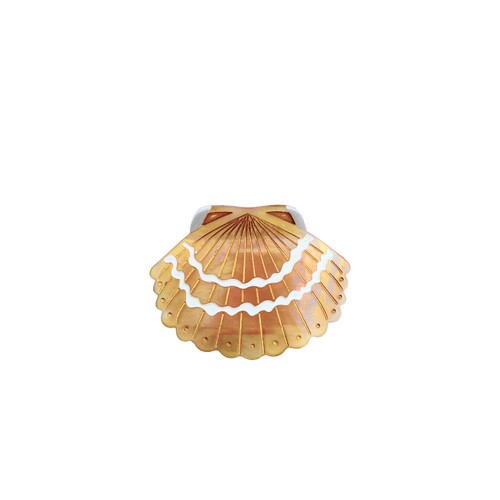 Solar Eclipse HAND-PAINTED SEASHELL CLAW HAIR CLIP 手绘贝壳