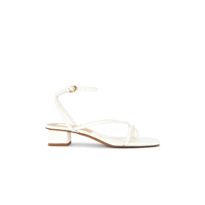 Dolce Vita KARLOS 高跟鞋 26春夏新品 revolve小众新款
