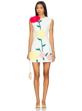 ELLIATT BUTTERCUP 连衣裙女夏 象牙白REVOLVE小众新款