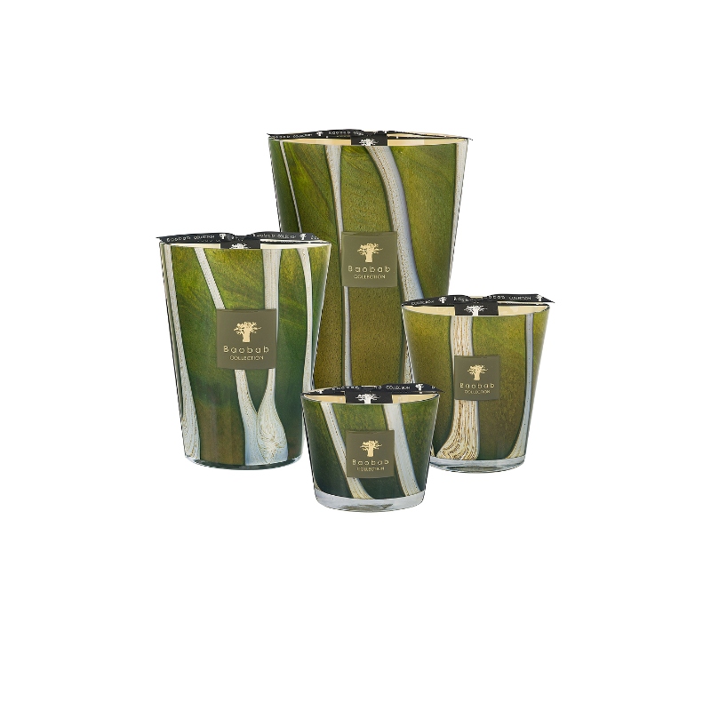 Baobab Collection MAX 10 蜡烛 不适用REVOLVE小众新款