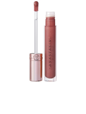 Anastasia Beverly Hills LIP GLOSS 唇彩 revolve小众新款 玫瑰