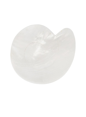 Gohar World Mother Of Pearl Nautilus Dish 白色 REVOLVE小众新