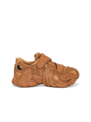 CamperLab TORMENTA 运动鞋 revolve小众新款