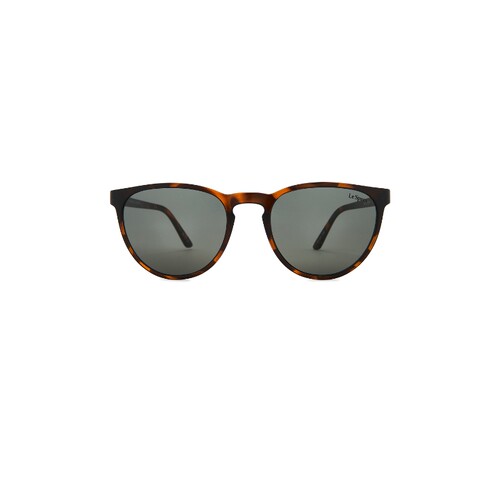 Le Specs INVINCIBLE 太阳镜 26春夏新品 revolve小众新款