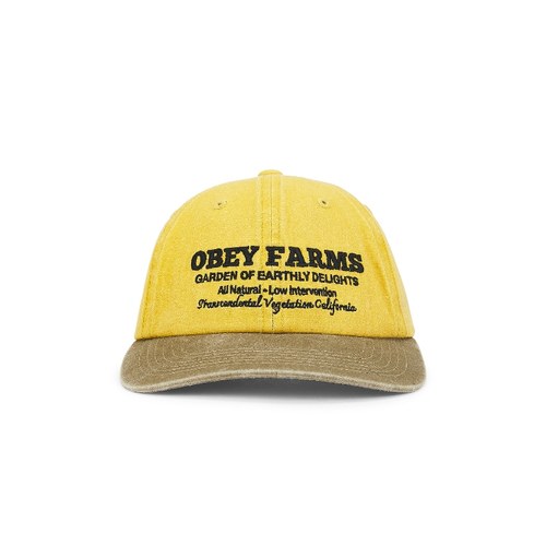 Obey Farms 6 Panel Strapback Cap 深黄色REVOLVE小众新款