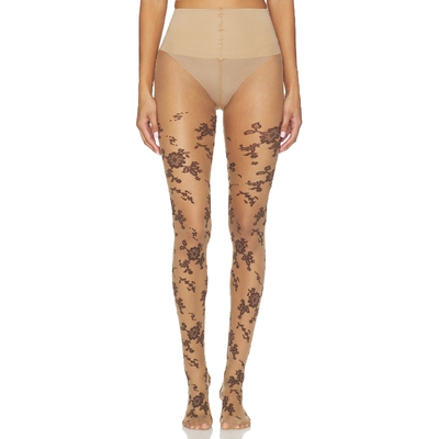 【美国直邮】 秋冬新品  Free People FLOCKED 连裤袜  棕色 秋冬