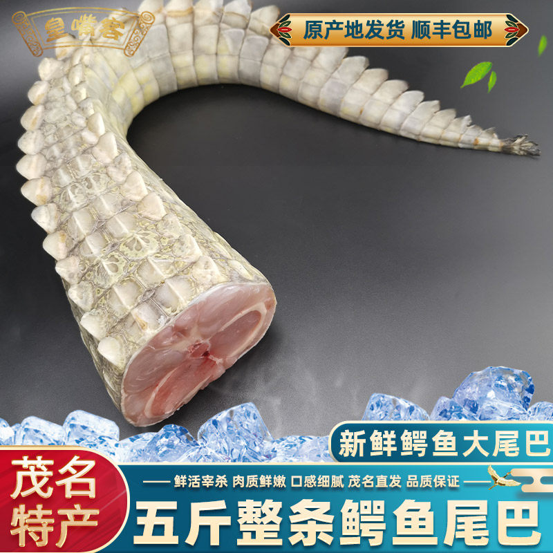 5斤整条鳄鱼大尾巴 新鲜鳄鱼肉尾肉鲜活宰杀顺丰包邮暹罗鳄养殖鳄