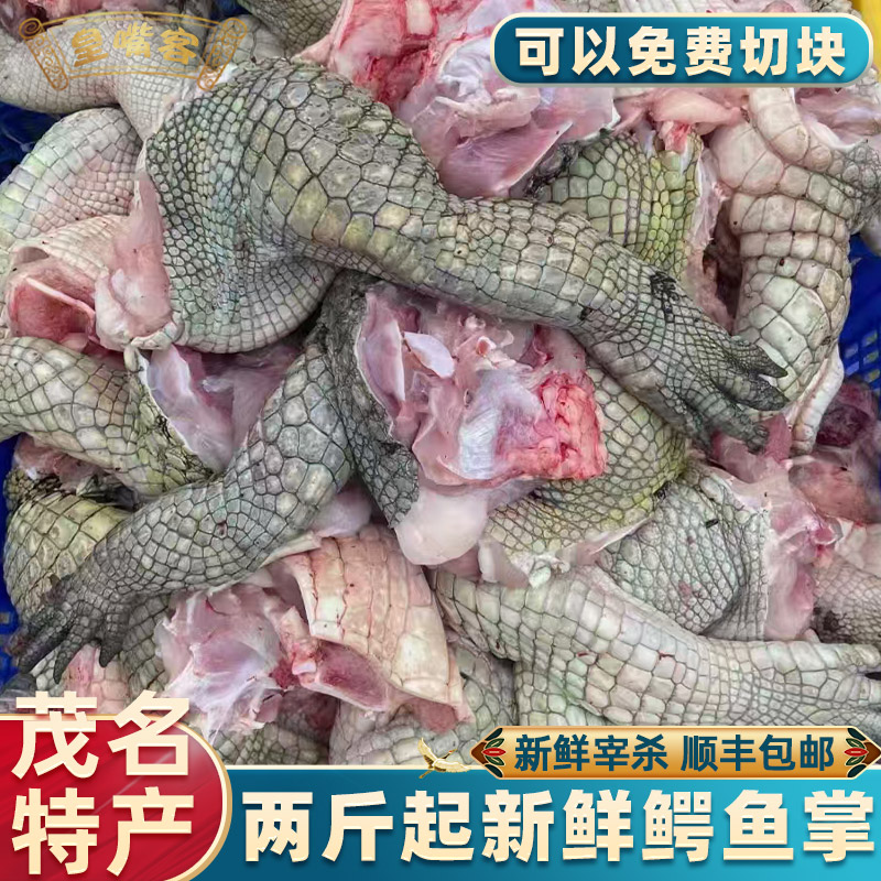 2斤鳄鱼掌腿产地直发顺丰包邮