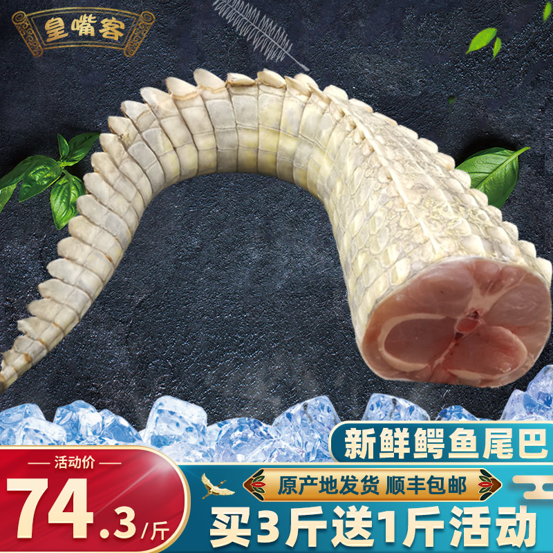 新鲜鳄鱼尾巴 礼品级新鲜鳄鱼肉尾巴肉1斤整条养殖大鳄鱼活体现杀