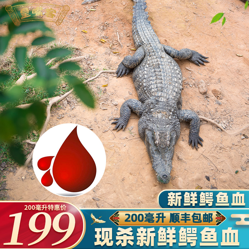 新鲜鳄鱼血200克 茂名特产鳄鱼生鲜当天现宰杀顺丰冷链发货养殖鳄