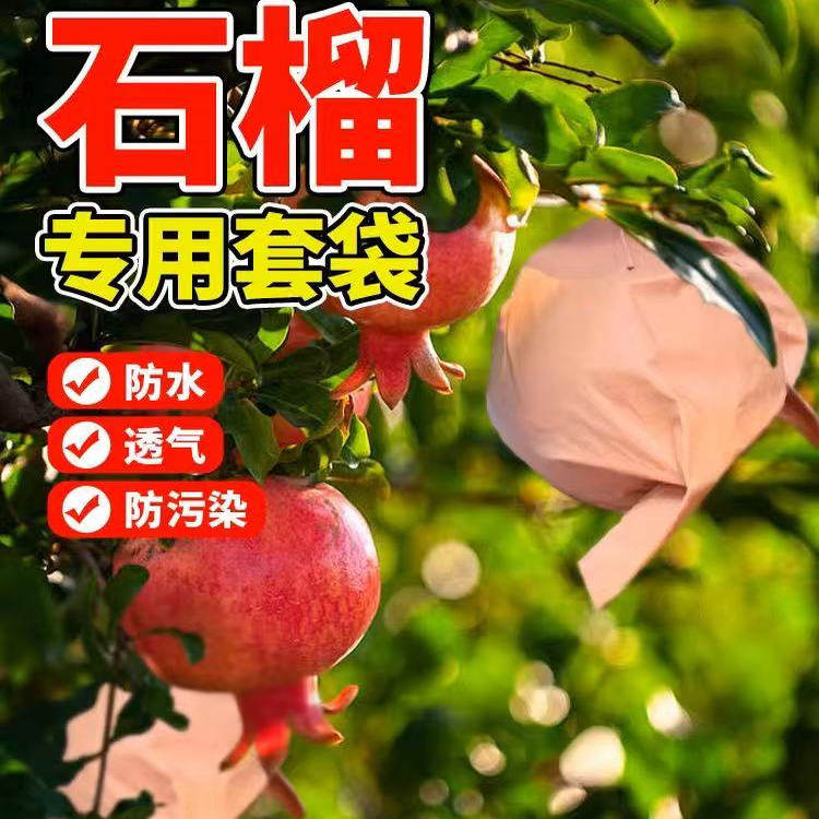 石榴套袋专用袋防裂防晒