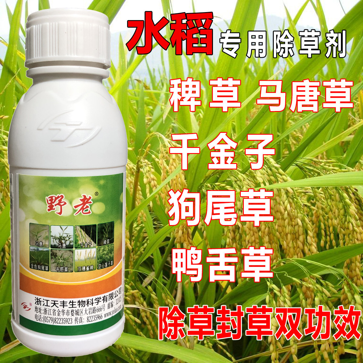 野老26%氰氟草酯氯氟吡旱稻水稻田专用除草剂马唐千金草稗草农药