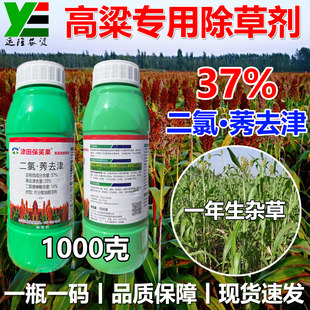 高粱苗后专用除草剂津田二氯喹啉酸莠去津杂草禾阔双烂根死根农药