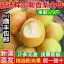 正宗新疆库尔勒香梨应当季 新鲜孕妇水果全母梨子纯甜9斤整箱顺丰