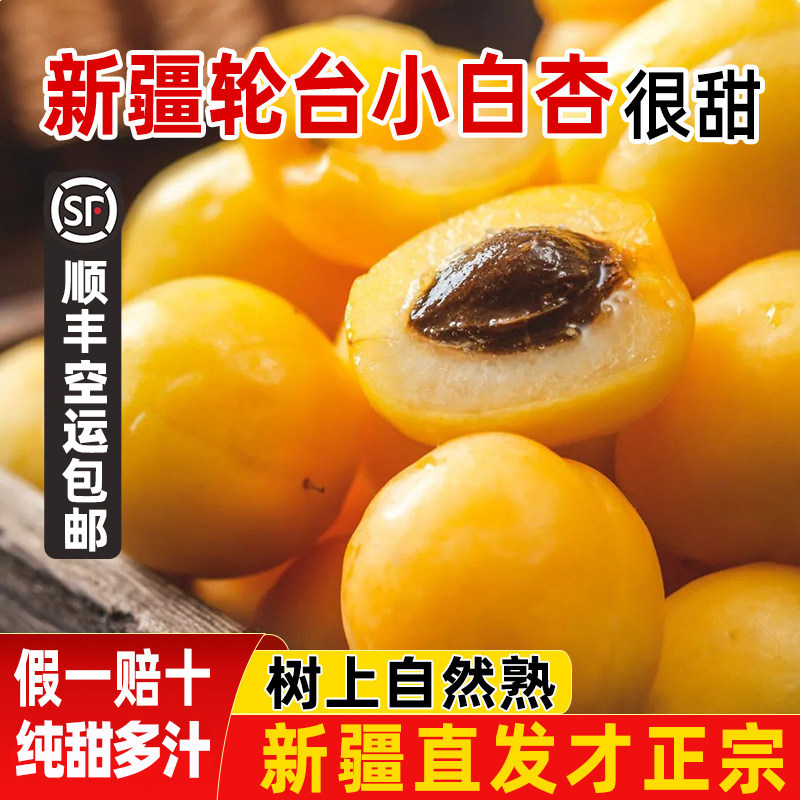 正宗新疆轮台小白杏应当季新鲜孕妇水果纯甜杏子红杏顺丰空运包邮