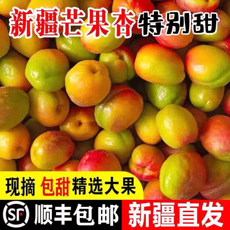 正宗新疆阿克苏芒果杏应当季新鲜孕妇水果红杏吊杏油杏顺丰空运