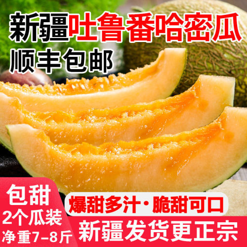 新疆吐鲁番哈密瓜西州蜜25号