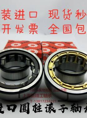 FAG轴承RN204 205 206 207 208 209 219 220 222 228 306 307 308