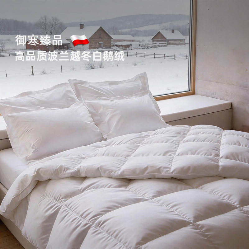 斯得福冬暖被子被芯波兰羽绒被95白鹅绒被全棉春秋被子母被换季用,床上用品,羽绒/羽毛被,淘宝优惠券,粉丝福利购,淘宝优惠卷