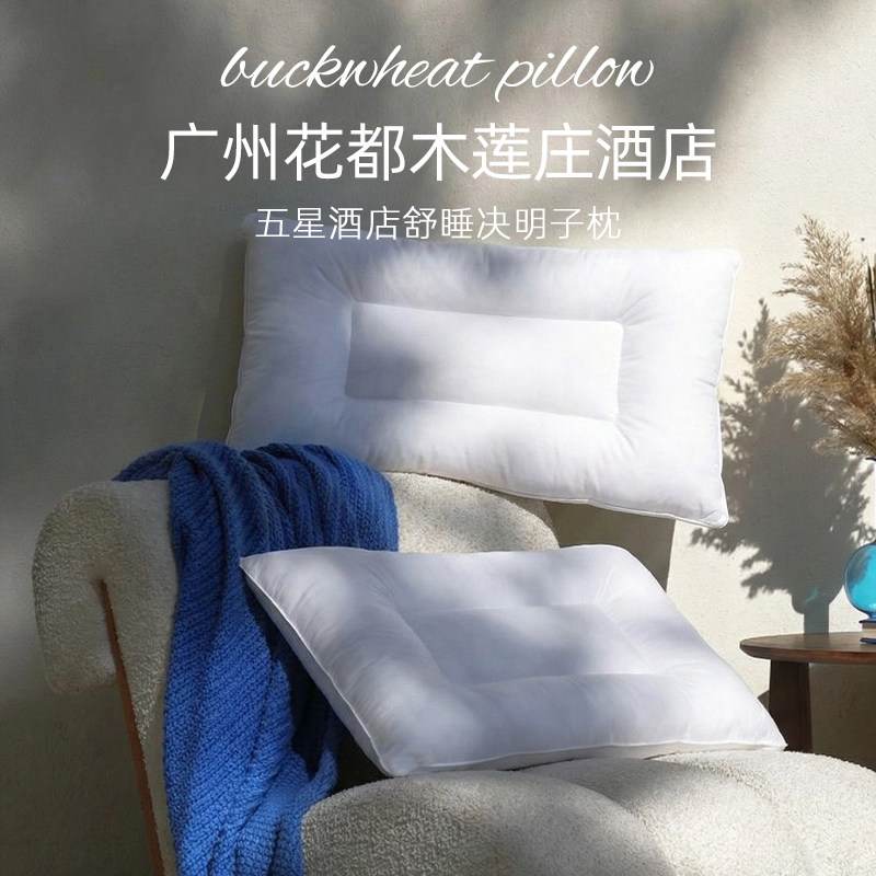 斯得福颈椎反弓颈椎病专用枕芯荞麦决明子的护颈枕头睡觉专用高枕