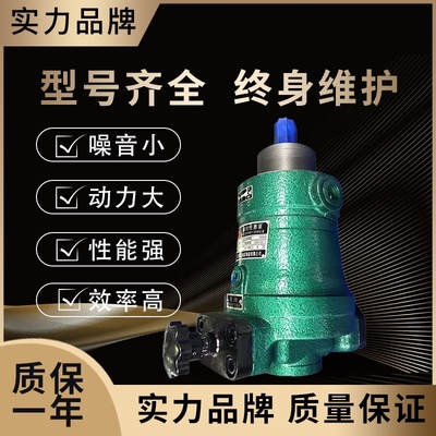 启东高压油泵10 25 40 63 80 100 160 250SCY14-1B轴向柱塞泵