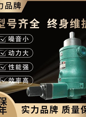 启东高压油泵10 16 25 40 63 80 100 160 250YCY14-1B轴向柱塞泵